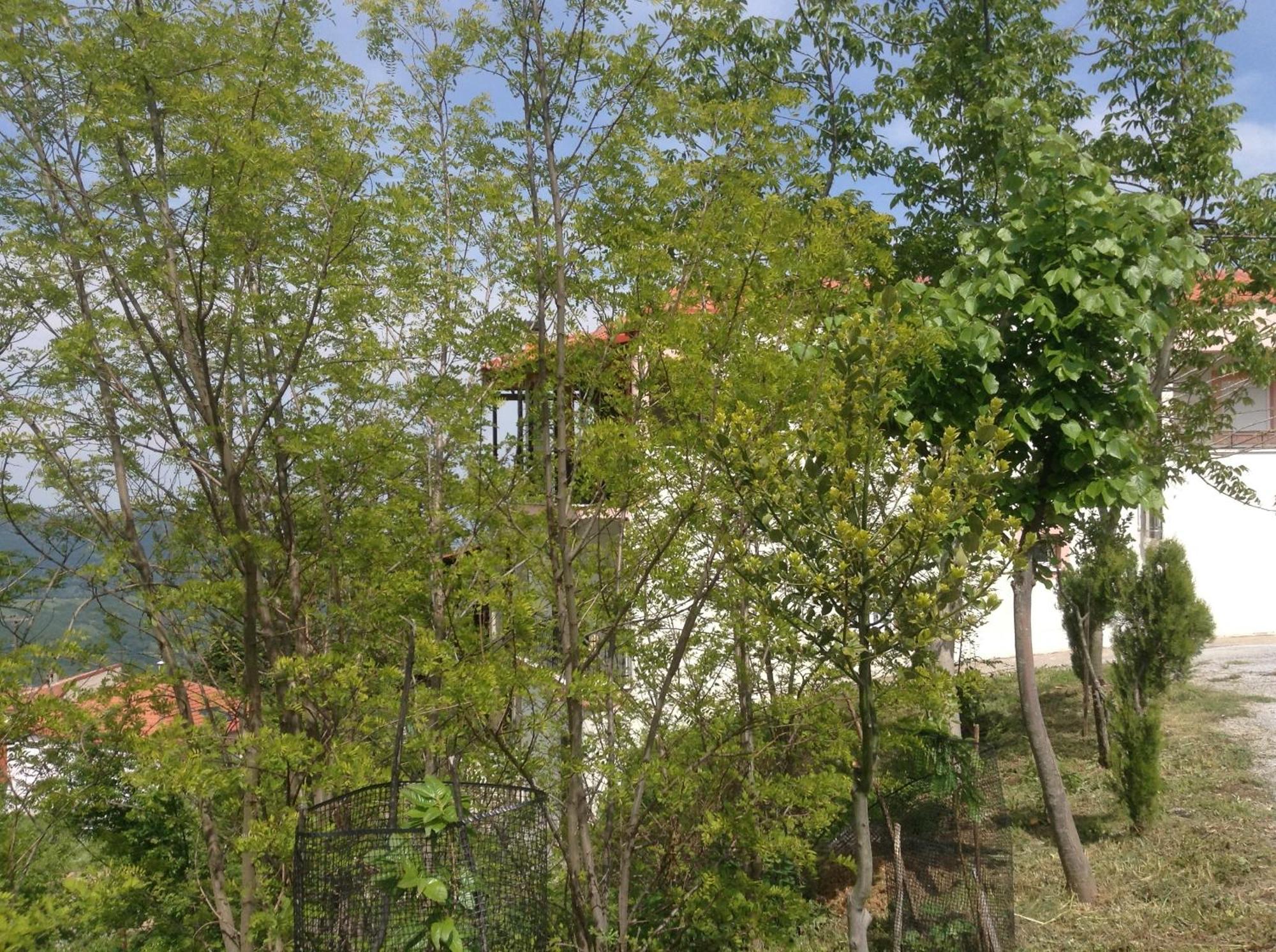 Πανδοχείο Λίμνης Πλαστήρα Hotel Kastanéa Buitenkant foto