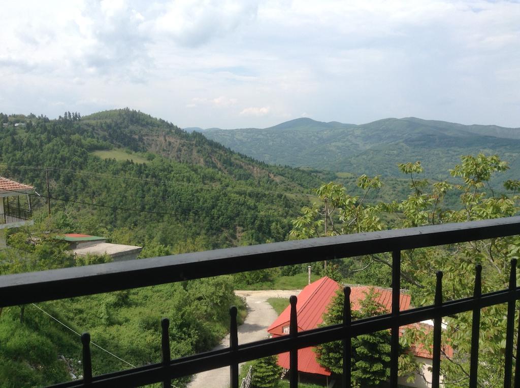 Πανδοχείο Λίμνης Πλαστήρα Hotel Kastanéa Kamer foto